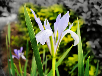 996E55385B7E582912966F