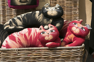 더블클릭을 하시면 이미지를 수정할 수 있습니다