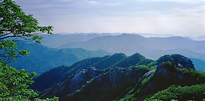 선경서점 이미지