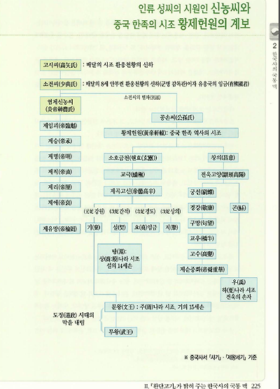 992B43395B8D23DD06ED4D