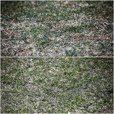 더블클릭을 하시면 이미지를 수정할 수 있습니다