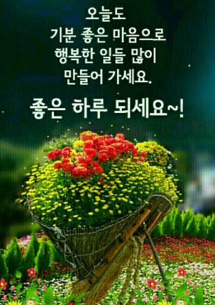 즐거운 토요일