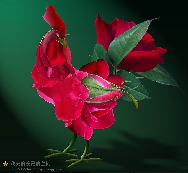 class=txc-image
