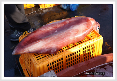 더블클릭을 하시면 이미지를 수정할 수 있습니다