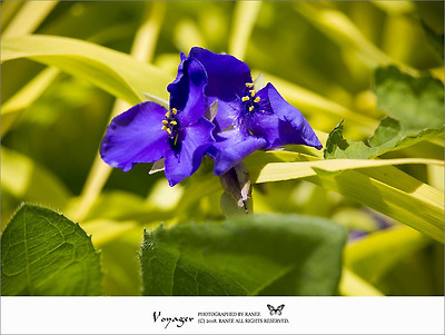 더블클릭을 하시면 이미지를 수정할 수 있습니다