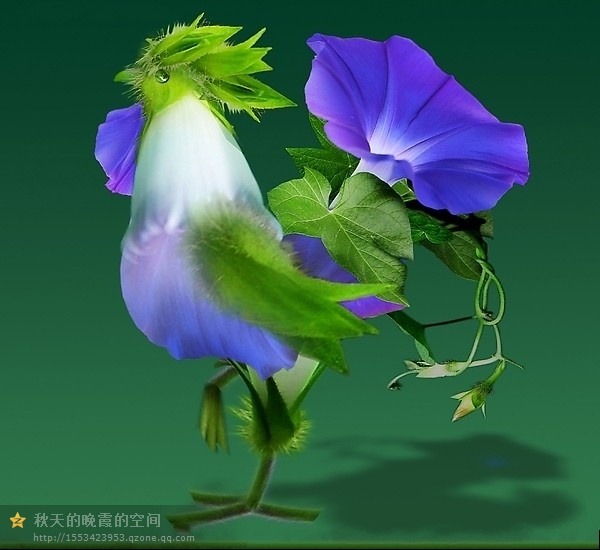 class=txc-image