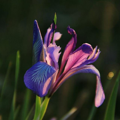 9931D2385B7E582825A6D7