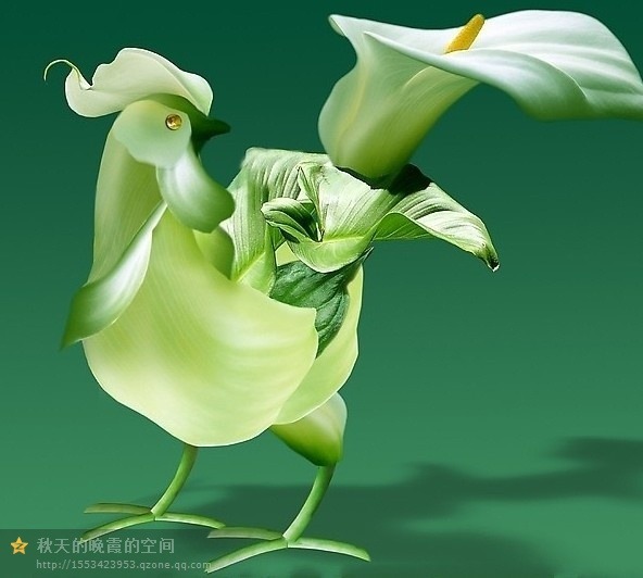 class=txc-image