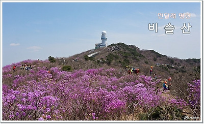 비슬산 이미지