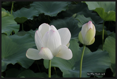 더블클릭을 하시면 이미지를 수정할 수 있습니다