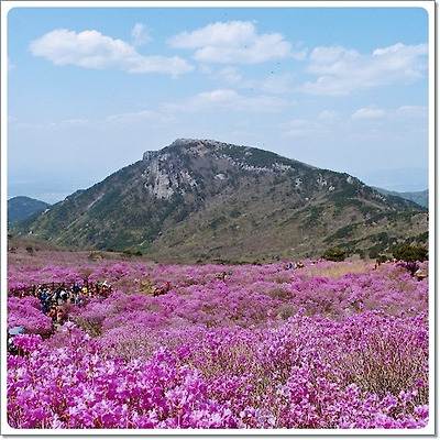 비슬산 이미지