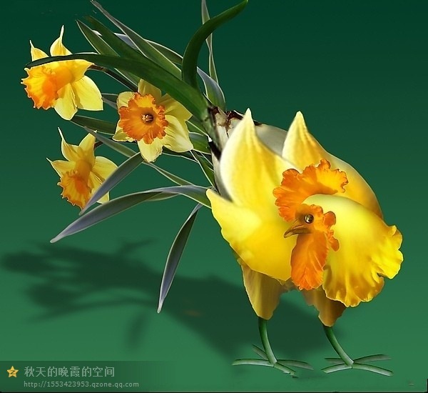 class=txc-image