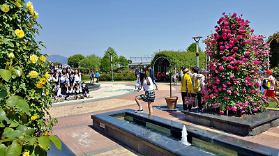 더블클릭을 하시면 이미지를 수정할 수 있습니다