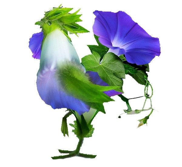 class=txc-image