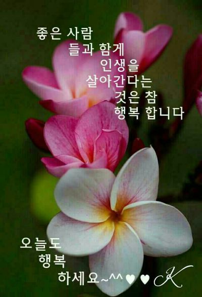 즐거운 이미지