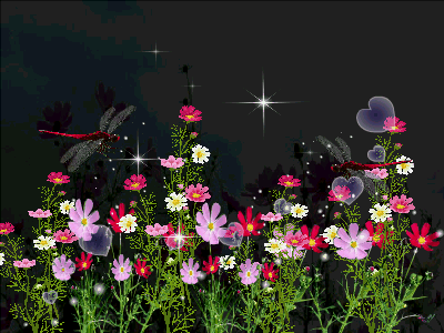 227FDE3353FFE32730FC5B