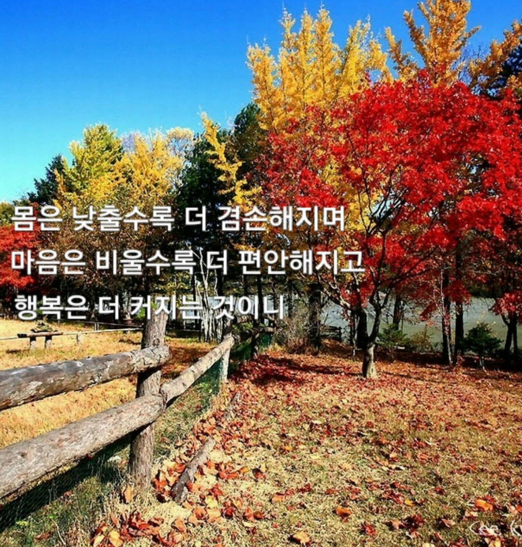 읽어도 읽어도 좋은 글