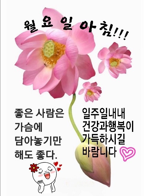 (주)행복한아침 이미지
