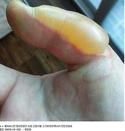 꽃;들때 이미지