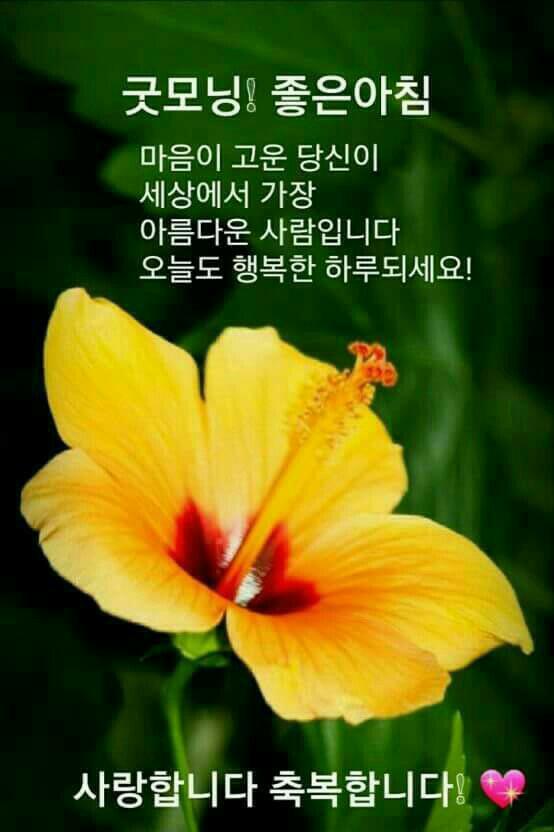마음에 이미지