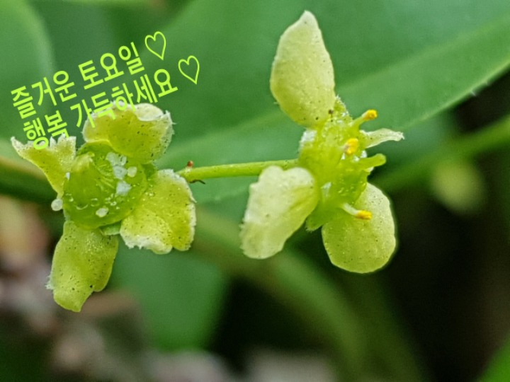 즐거운 이미지