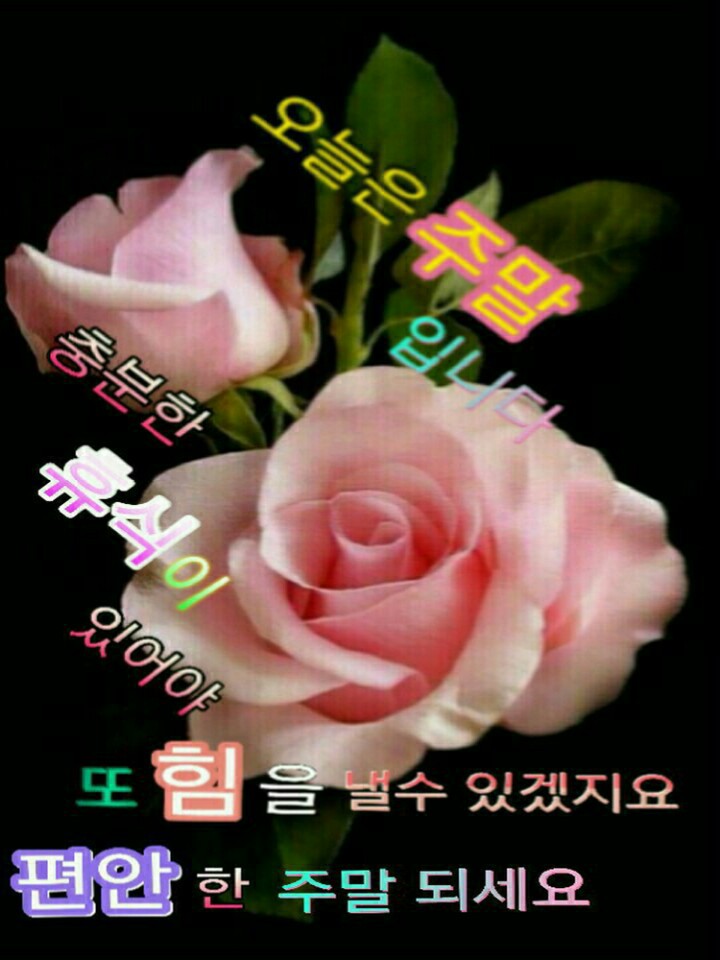 이미지 이미지