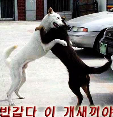 복 이미지