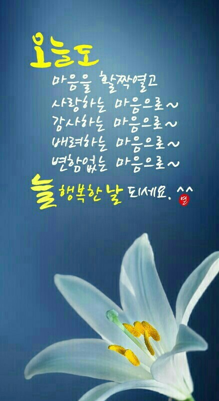 마음에 이미지