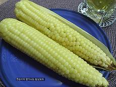 [옥수수맛있게삶는법]전기밥솥으로 간단,탱글탱글 부드럽게