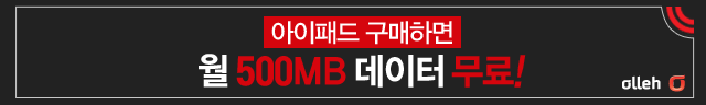 kt 아이패드 판촉 프로모션 입니다