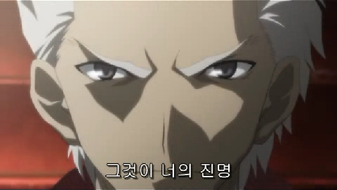 페스나 극장판 이미지