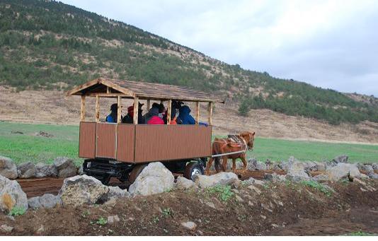 마차체험도 가능한 가시리 갑마장 길 조성사업 완료