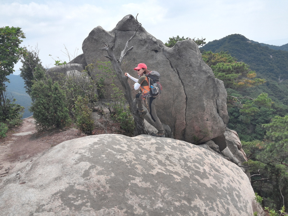 상장능선에 오르다