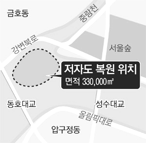 저자도((楮子島)-한강의 사라진 섬