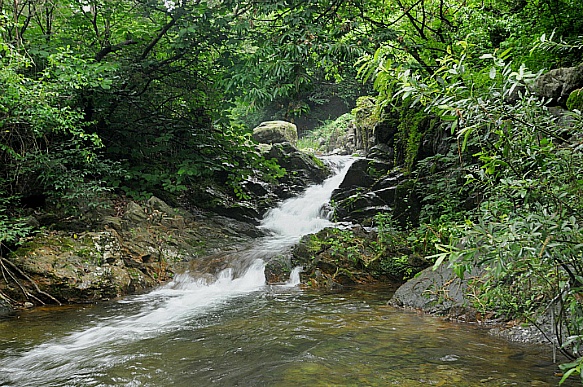 원주의 아흔아홉골.보름갈이봉(금대봉)