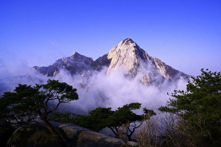 제13회 국립공원 관리공단 사진전 (입선작)