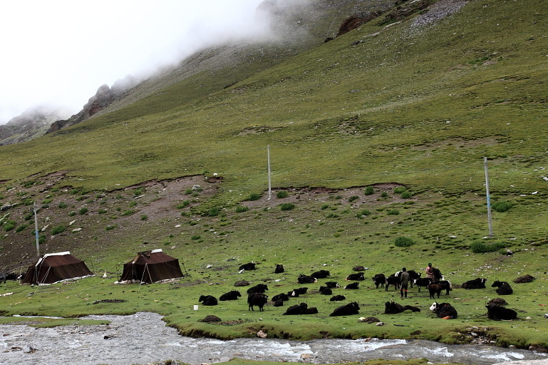 중국/티벳: 유목민 텐트에서