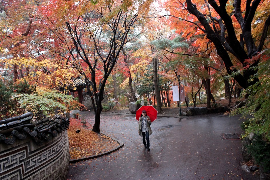 비내리는 삼청각의 단풍은 ..