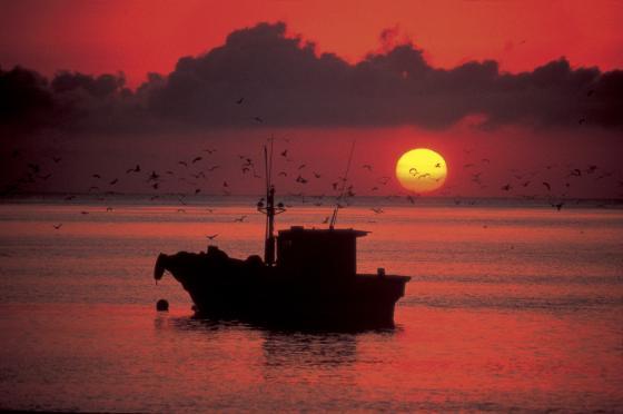 신안군에 위치한 아름다운 하의도를 찾아가 보세요 3