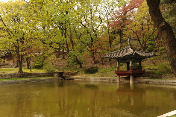 동궐의 속살, 후원 - 서울 창덕궁 애련지ㆍ애련정