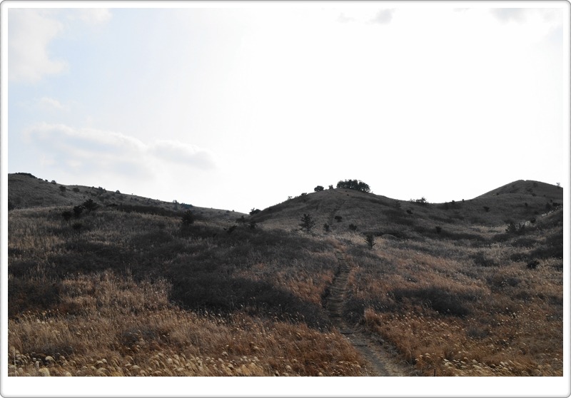 제주 가시리 갑마장길 2. 따라비오름에서 큰사슴이오름앞까지