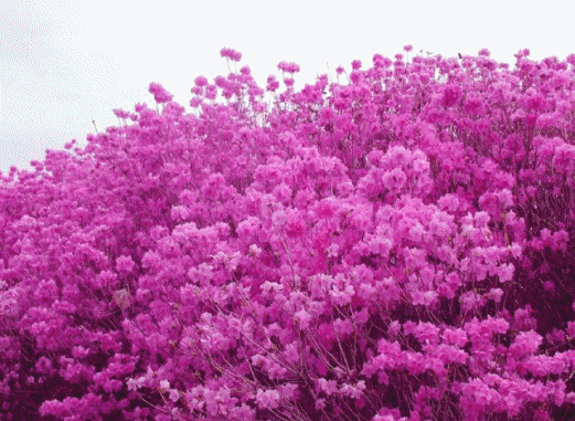 더블클릭을 하시면 이미지를 수정할 수 있습니다