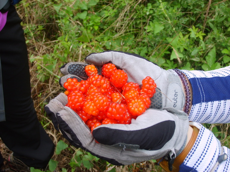 강화나들길7코스