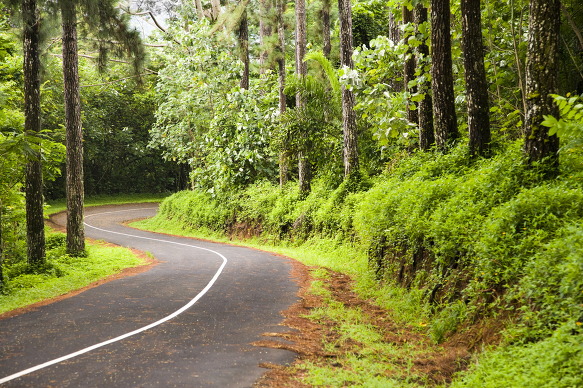 서울 드라이브 코스 추천 :: 북악스카이웨이 팔각정