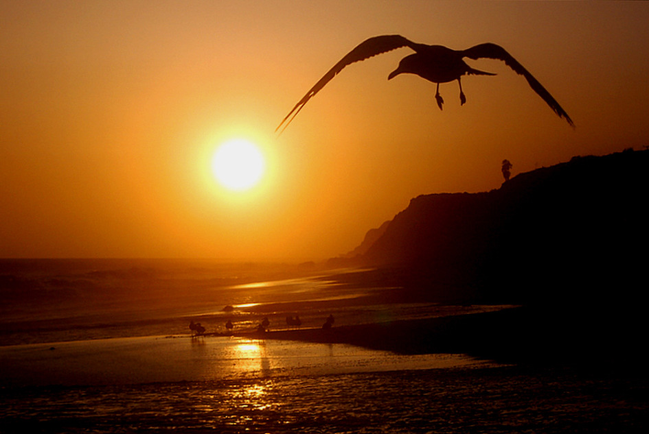 센스가 있는 아름다운 여인