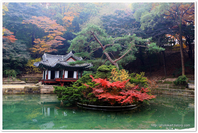 부용정(창덕궁 부용지)의 가을