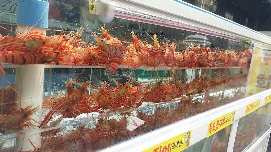 부산깡통시장,꽃새우,부산앙꼬떡,팥앙꼬떡,부산국제시장