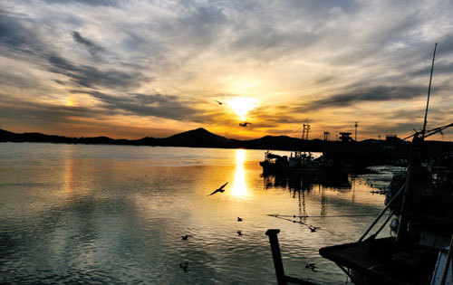 김포시 여행/관광/등산/교통 정보...맛집/특산물 안내