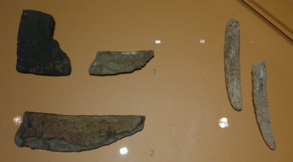 박물관 특별전(1) "신석기인, 새로운 환경에 적응하다"