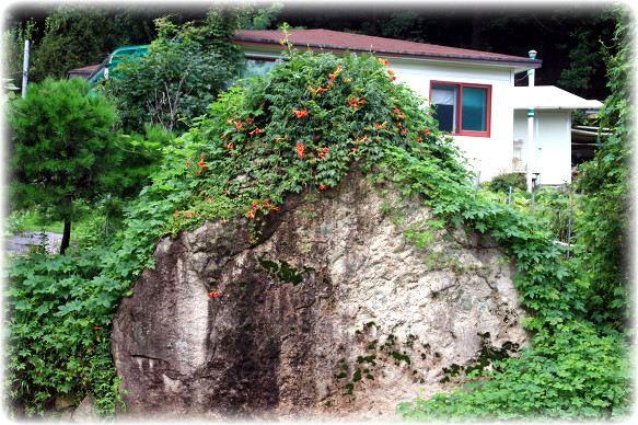 북한산 종주 1[백화사 입구 에서~아카데미하우스 까지] (1-10-78)